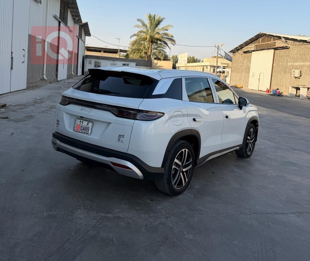 بي واي دي سونغ L DM-i